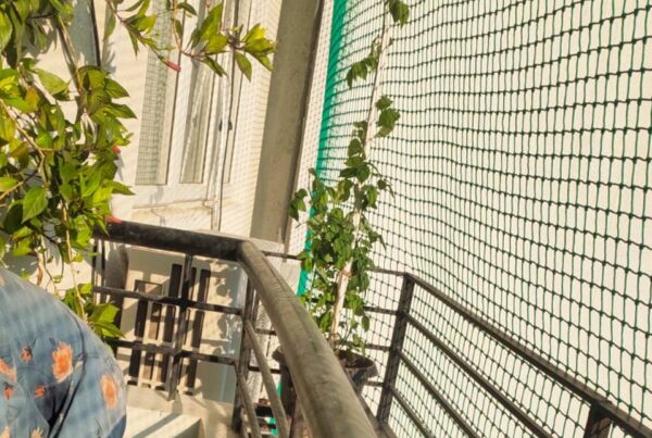 Anti Pigeon Nets for Balconies in Chennai, Call Ashok at 9791170467 for High Quality Nets Fixing
