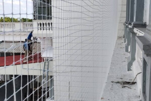 Anti Pigeon Nets for Balconies in Chennai, Call Ashok at 9791170467 for High Quality Nets Fixing
