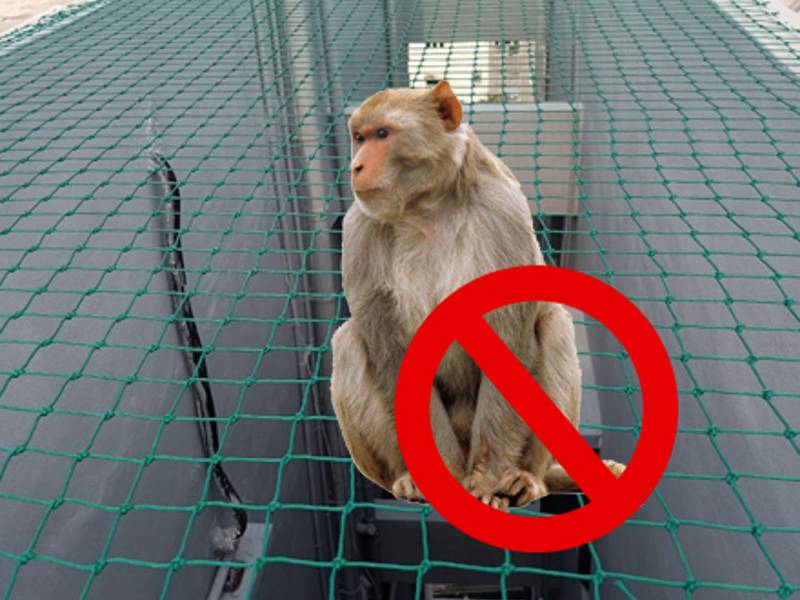 Monkey Safety Nets for Balconies in Chennai, Contact us for Same Day Installation.